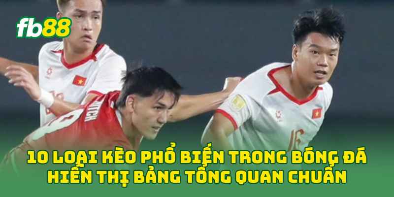 10 Loại Kèo Phổ Biến Trong Bóng Đá hiển thị bảng tổng quan chuẩn
