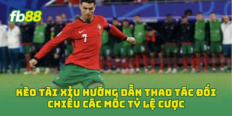 Kèo Tài Xỉu hướng dẫn thao tác đối chiếu các mốc tỷ lệ cược