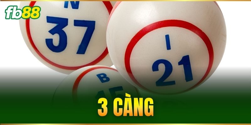3 cang