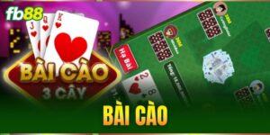 bai cao