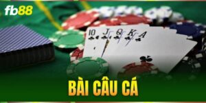 bai cau ca