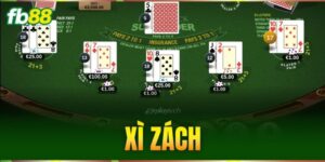 xi zach